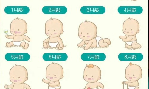 婴儿安药的功效-婴儿安药的功效-婴儿安古,中国婴儿安主治网站